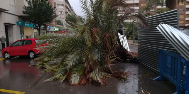 Spania – Două persoane decedate, inclusiv o româncă, în urma furtunii Gloria