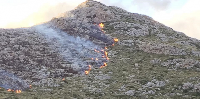 Spania Incendii în Mallorca – 60 de locuinţe au fost evacuate