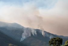 Spania: Lupta cu incendiul din zona Malaga, care a ars 7.400 de hectare, a fost reluată