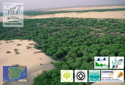 Spania trebuie să depună mai multe eforturi în viitor pentru a proteja rezervaţia naturală Coto de Donana