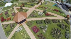 Sălaj: ''Grădina bunicii'', cu plante aromatice şi medicinale - la Grădina Botanică din Jibou