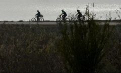 Tineri români și străini vor încerca să facă turul Deltei Dunării pe bicicletă