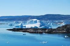 Topirea gheţarilor din Groenlanda: Ritmul este ''înspăimântător''
