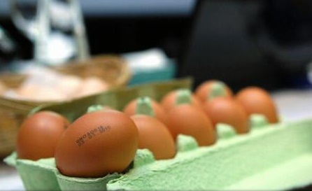 Trei țări europene fac anchete în scandalul ouălor contaminate cu fipronil