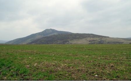 Tulcea – Dealul Consul, prima rezervație naturală din România, inclus într-un circuit turistic
