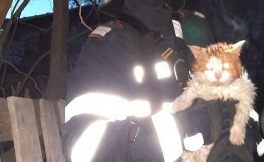 Vâlcea: Pompierii au coborât într-o fântână cu adâncimea de 18 metri pentru a salva o pisică