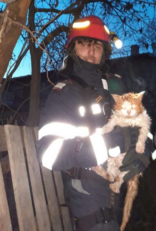 Vâlcea: Pompierii au coborât într-o fântână cu adâncimea de 18 metri pentru a salva o pisică