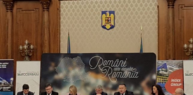 În ce condiții se vor întoarce românii în țară, în opinia ministrului pentru românii de pretutindeni, Natalia-Elena Intotero