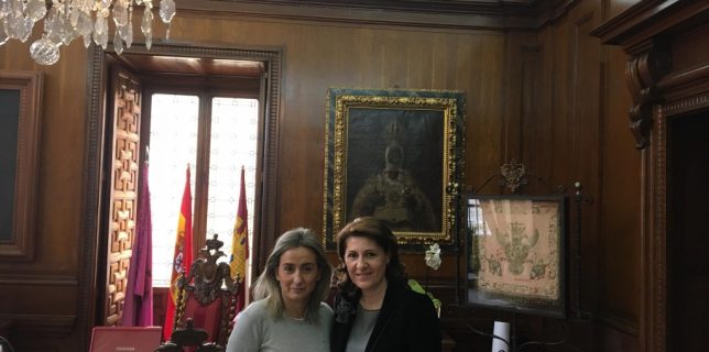 Întâlnirea ambasadorului român cu primarul orașului Toledo